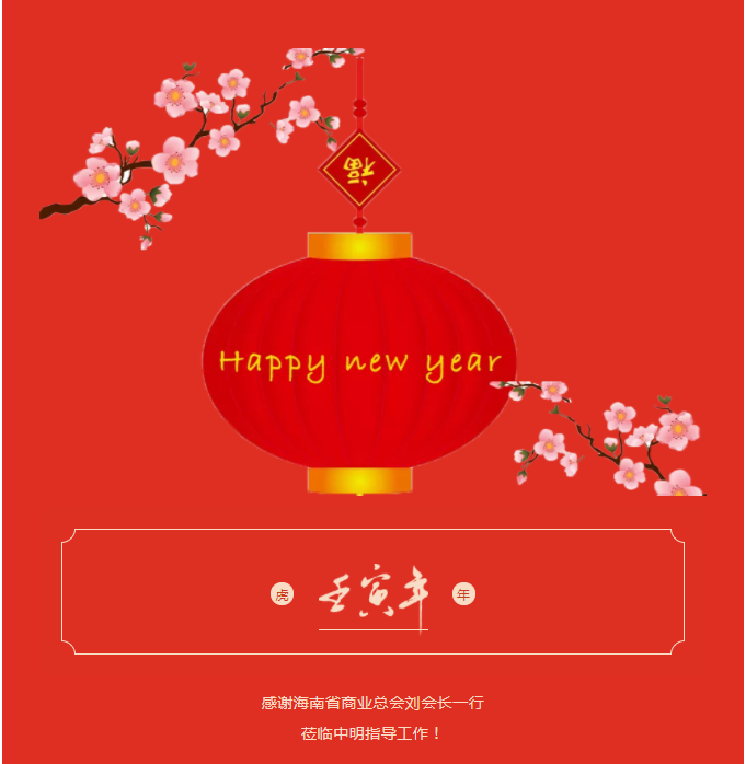 海南省商業(yè)總會劉會長一行蒞臨中明指導工作
